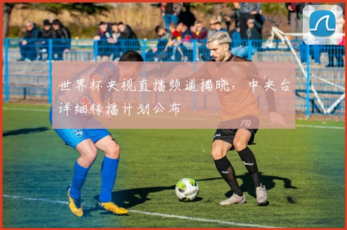 世界杯央视直播频道揭晓，中央台详细转播计划公布