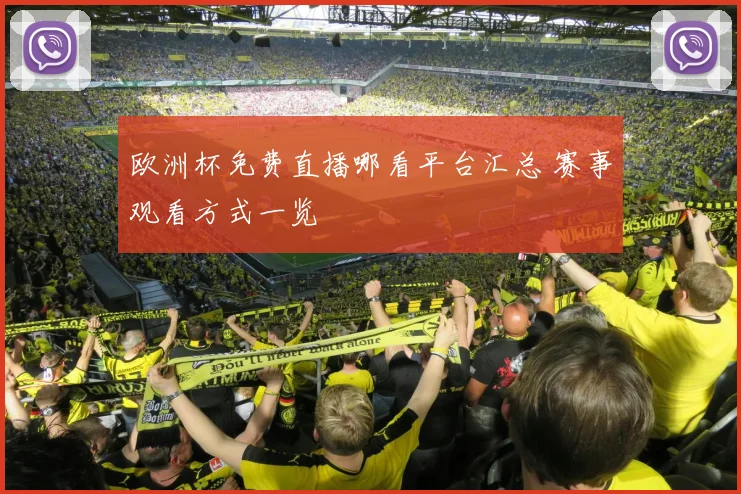 欧洲杯免费直播哪看平台汇总 赛事观看方式一览