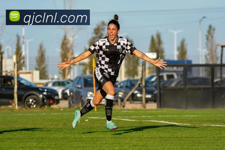 世界杯官网线上平台平台生态图