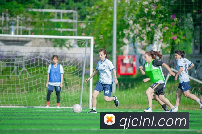 世界杯官网线上平台APP 封面图